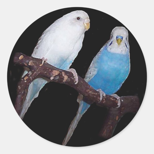 Pegatinas de Ariel Oscar budgie (Anverso)