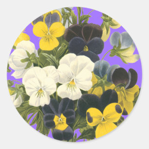 Pegatinas de arte botánico Pansy Violets