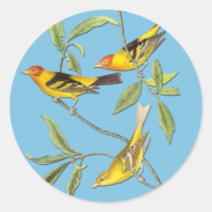 Pegatinas de arte para aves de la región de Tanage