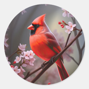 Pegatinas de Aves Rojas del Cardenal del Norte Ohi