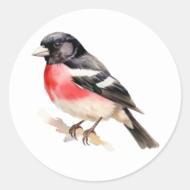 Pegatinas de aves Rosa Grosbeak (Anverso)