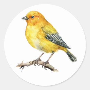 Pegatinas de aves Saffron Finch