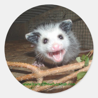 pegatinas de baby opossum