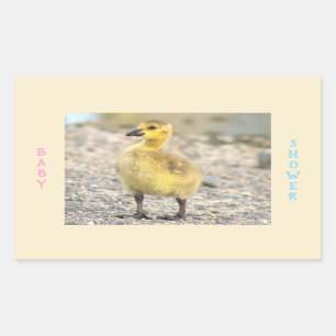 Pegatinas de Baby Shower Gosling