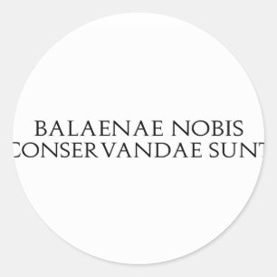 Pegatinas de Balaenae Nobis