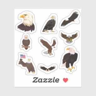 Pegatinas de Bald Eagle