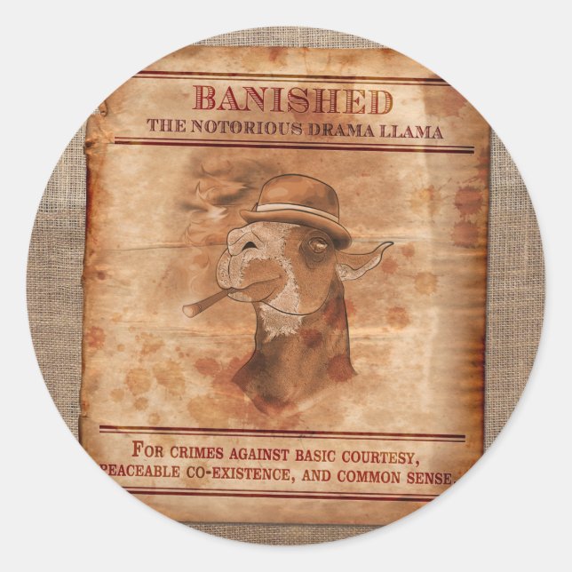 Pegatinas de Banish Drama Llamas - 3" (Anverso)