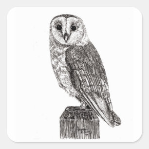 Pegatinas de Barn Owl 2