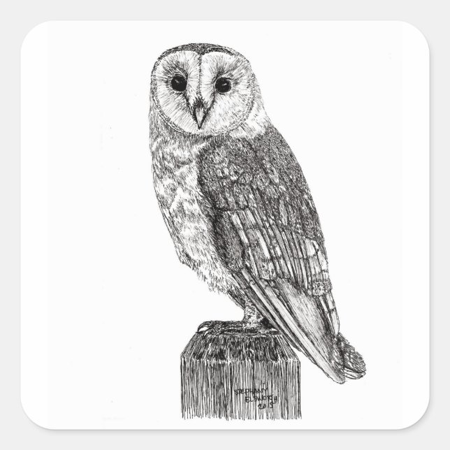 Pegatinas de Barn Owl 2 (Anverso)
