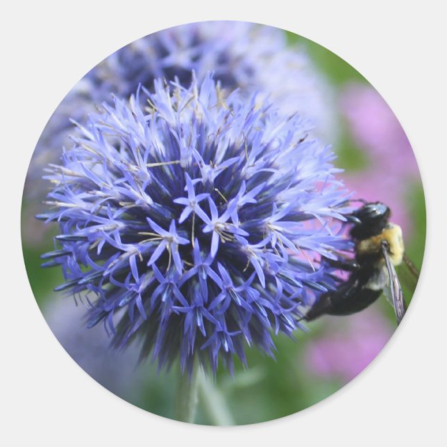 Pegatinas de Bee-have (Anverso)