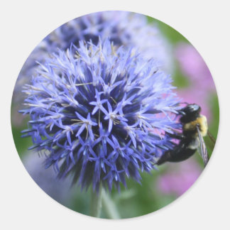 Pegatinas de Bee-have