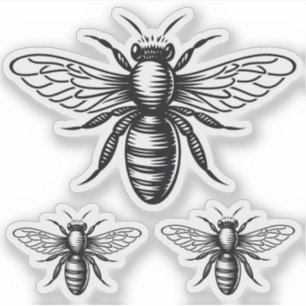 Pegatinas de Bee vinyl