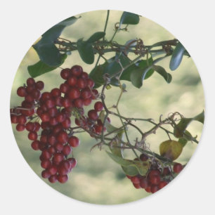 Pegatinas de Berry