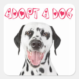 Pegatinas de bienvenida para cachorros dálmatas ad
