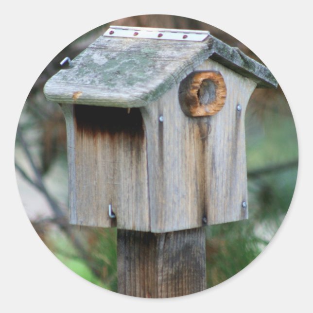 Pegatinas de Birdhouse (Anverso)