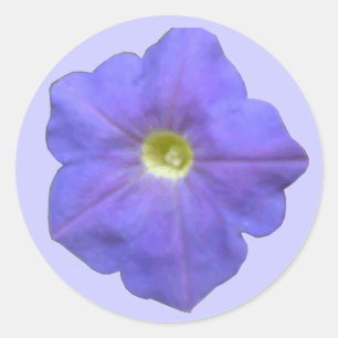 Pegatinas de Blue Petunia