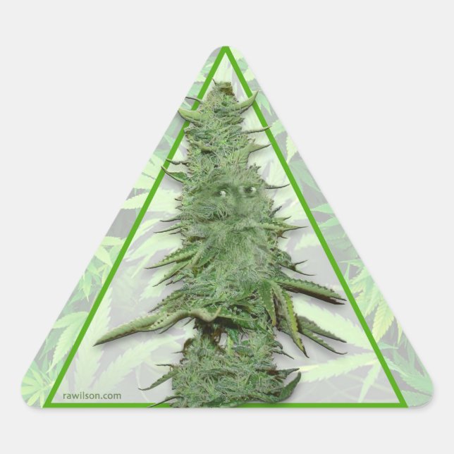 Pegatinas de Bob Verde (20) (Anverso)