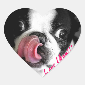 Pegatinas de Boston Terrier