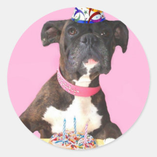 Pegatinas de Boxer
