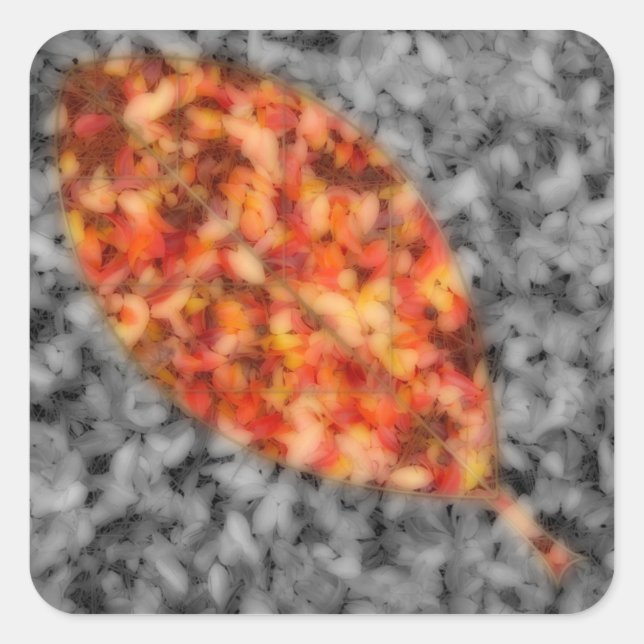 Pegatinas de Bright Shadows (Anverso)