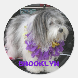 Pegatinas de BROOKLYN PURPLE HAWAII