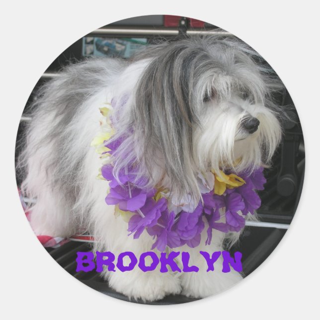 Pegatinas de BROOKLYN PURPLE HAWAII (Anverso)