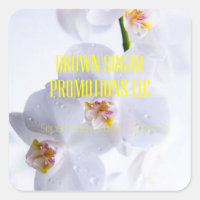 Pegatinas de Brown Sugar Promotions LLC 01