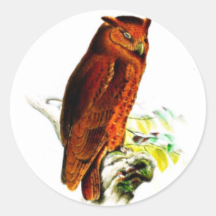 Pegatinas de búho