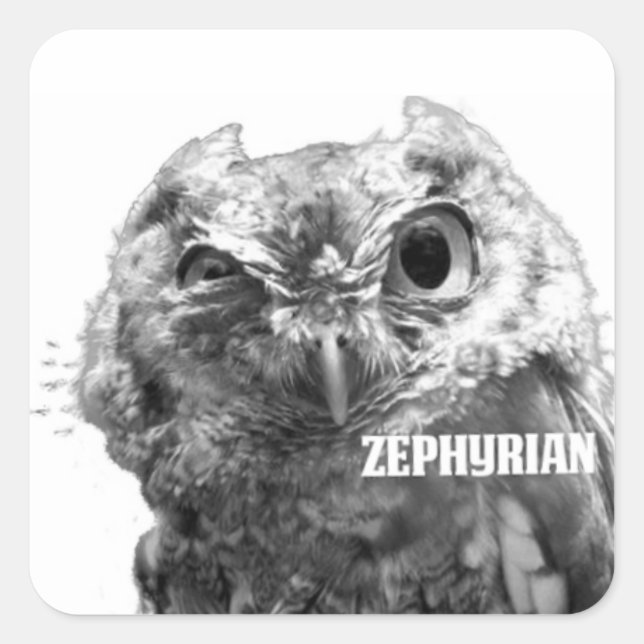 Pegatinas de búho de Zephyrian (Anverso)