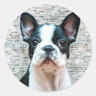 Pegatinas de Bulldog de Francia