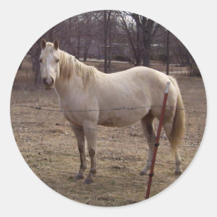 Pegatinas de caballos blancos