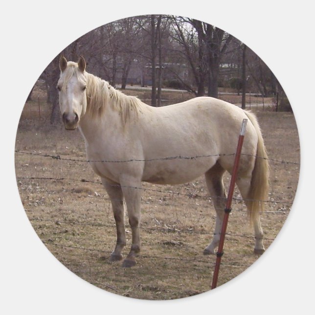 Pegatinas de caballos blancos (Anverso)