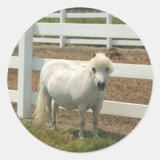 Pegatinas de caballos blancos en miniatura