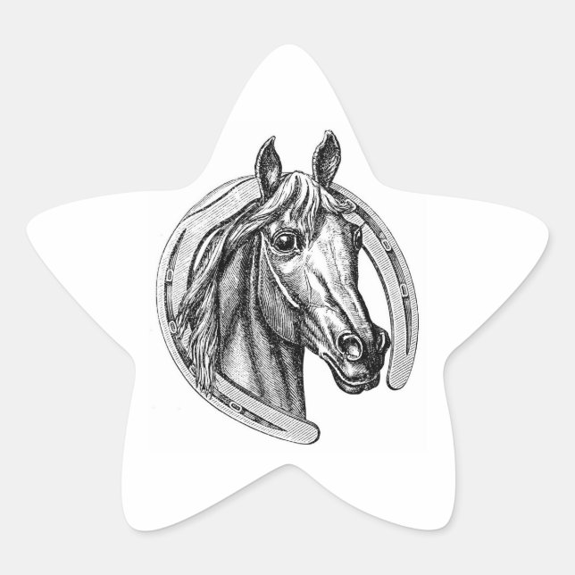 Pegatinas de caballos de época y estrellas del her (Anverso)