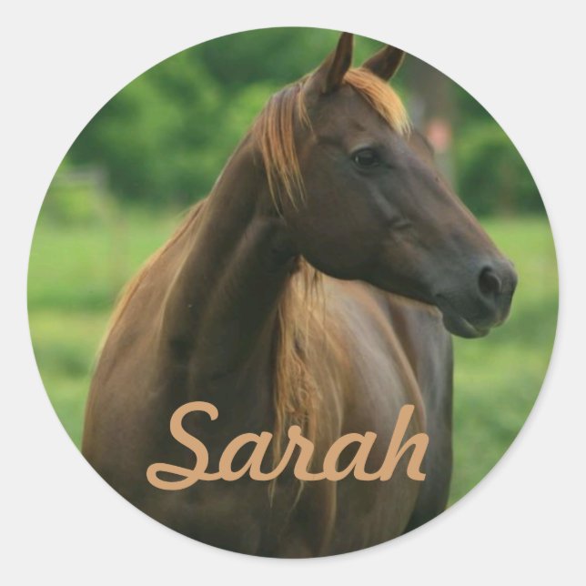 Pegatinas de caballos personalizados (Anverso)
