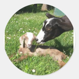 Pegatinas de cabra de 6