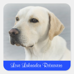 Pegatinas de cachorro de Labrador Retriever de amo