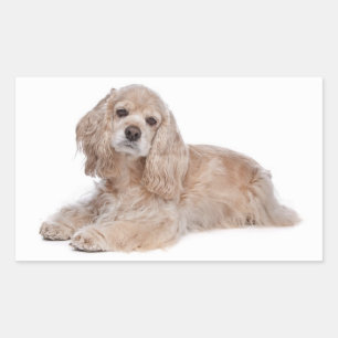 Pegatinas de cachorro de perro Cocker Spaniel de a
