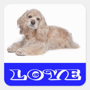 Pegatinas de cachorro de perro Cocker Spaniel de a