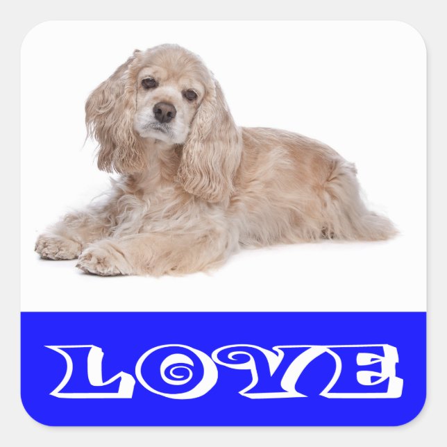 Pegatinas de cachorro de perro Cocker Spaniel de a (Anverso)