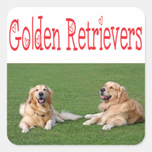 Pegatinas de cachorro de perro de raza Golden Retr