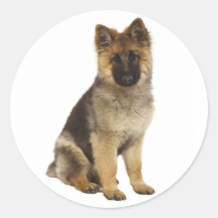 Pegatinas de cachorro de perro pastor alemán