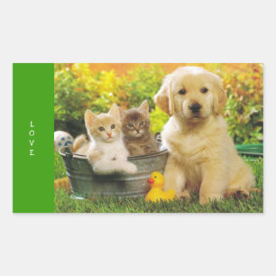 Pegatinas de cachorro de perro retriever dorado de