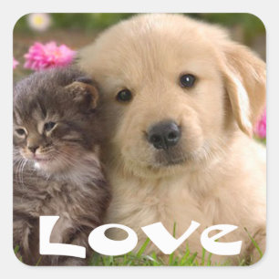 Pegatinas de cachorro de Retriever Dorado y gatito