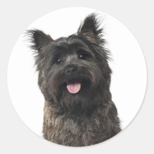 Pegatinas de cachorro de terrier de Cairn