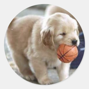 Pegatinas de Cachorros