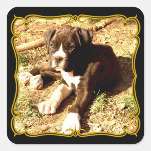 Pegatinas de cachorros