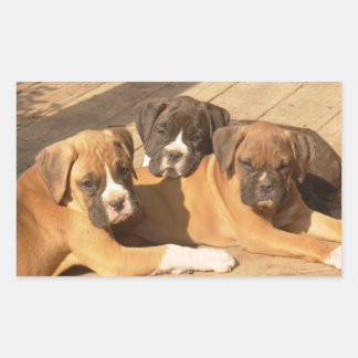 Pegatinas de cachorros de boxeo
