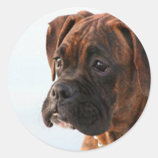 Pegatinas de cachorros de Brindle