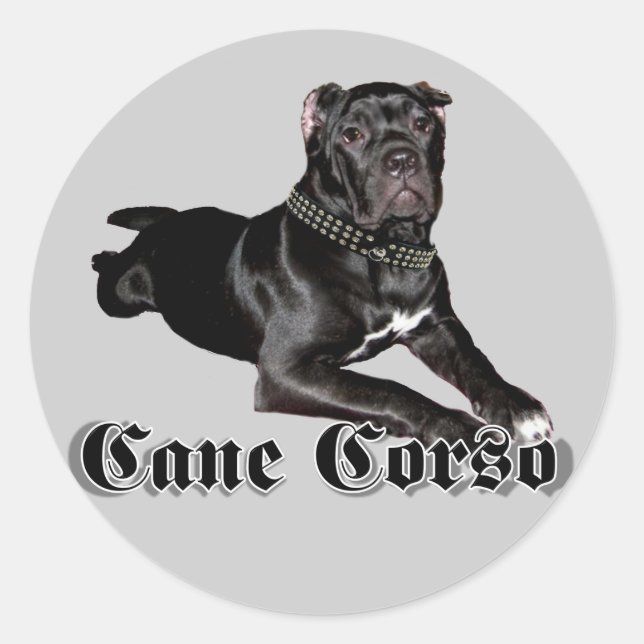 Pegatinas de cachorros de Cane Corso (Anverso)